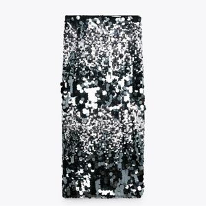 Zara sequin skirt XL